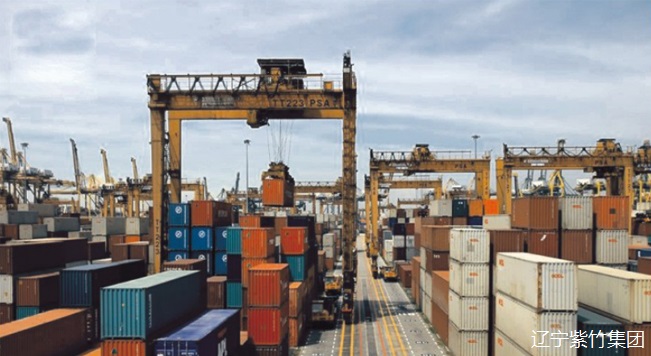 起重軌應用于新加坡港口